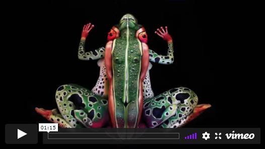 Stoetter: La grenouille