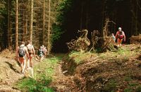 Début de la randonnée nue dans le Sauerland