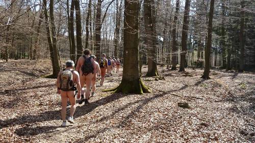 Randonnée nue dans la forêt d'Arnsberg berichte2010