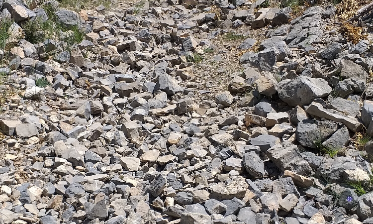 La condition des routes