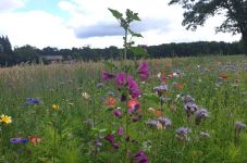 Alibi de l'agriculture