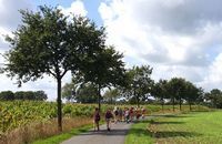 Randonnée nu avec les bons voeux du bureau de l'ordre public Randonnée nu avec les bons voeux du bureau de l'ordre public