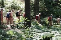 SNT - Journées naturistes de Saxe SNT 2020