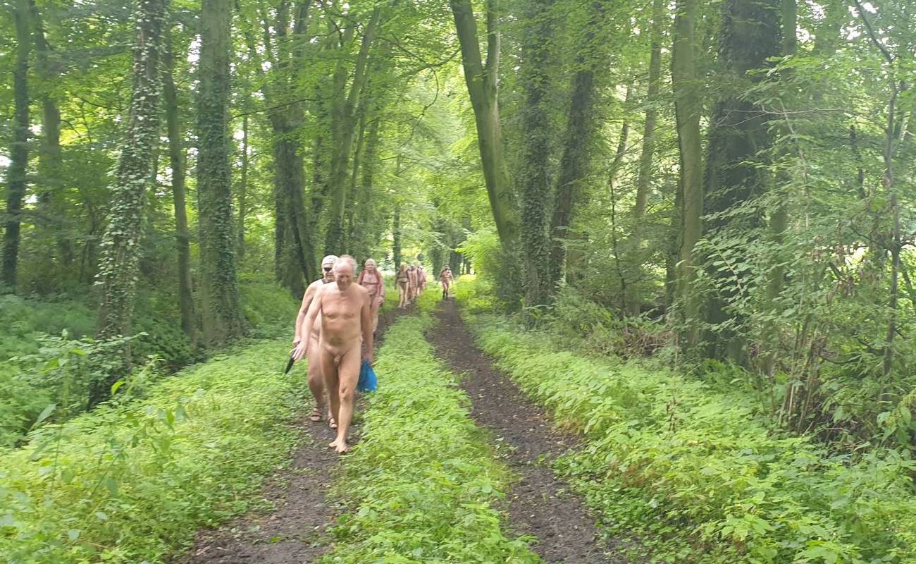 Les randonnées WNT 2021 commencent dans le vert luxuriant de la forêt de Teutoburg. Presque rien ne nous rappelle les forêts desséchées des deux dernières années de sécheresse.