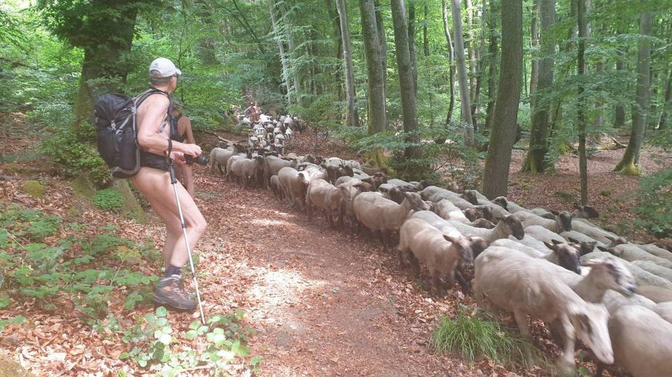 1/18 Fais de la place et compte les moutons