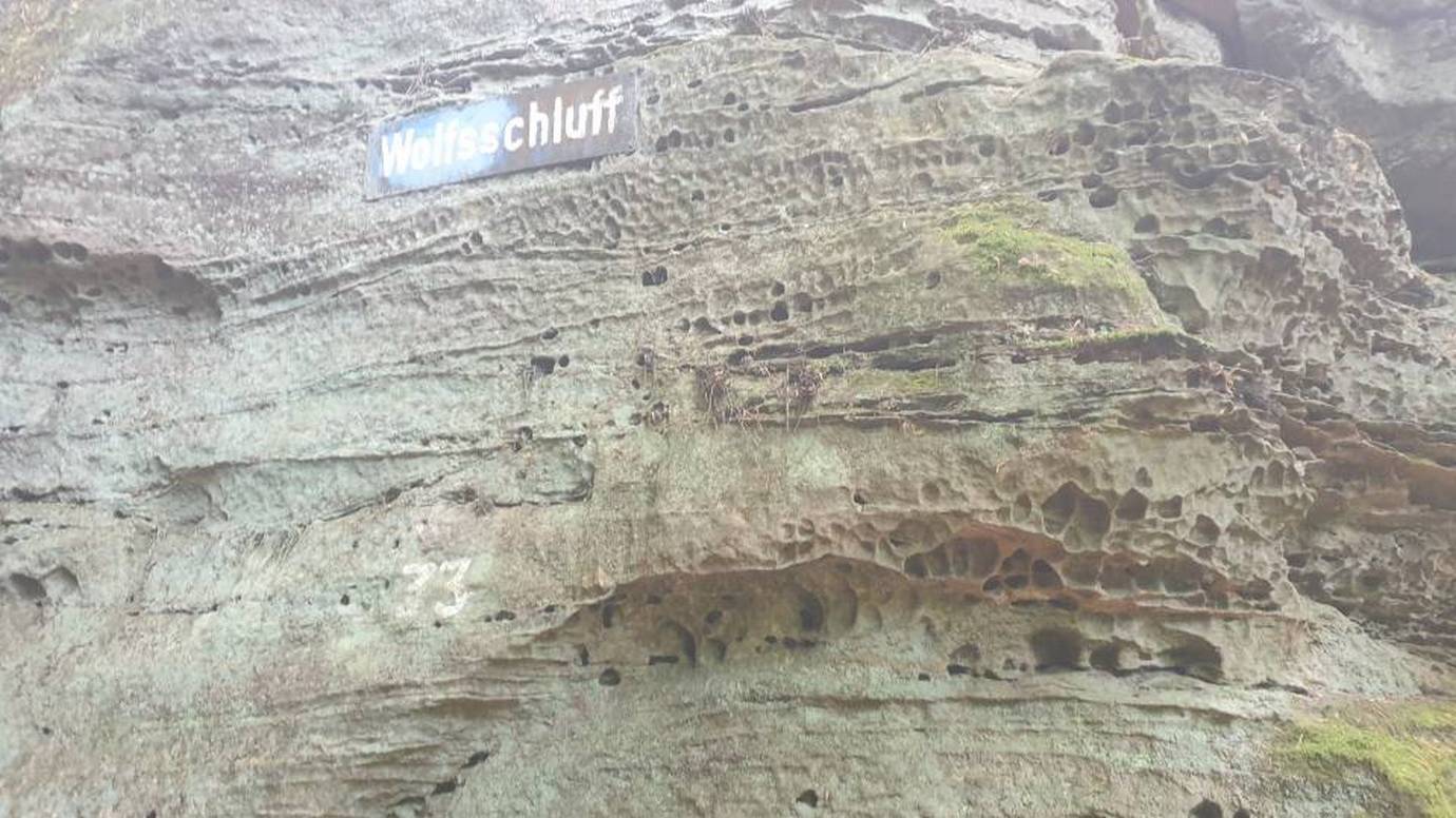 11/18 Vers la Wolfsschluff