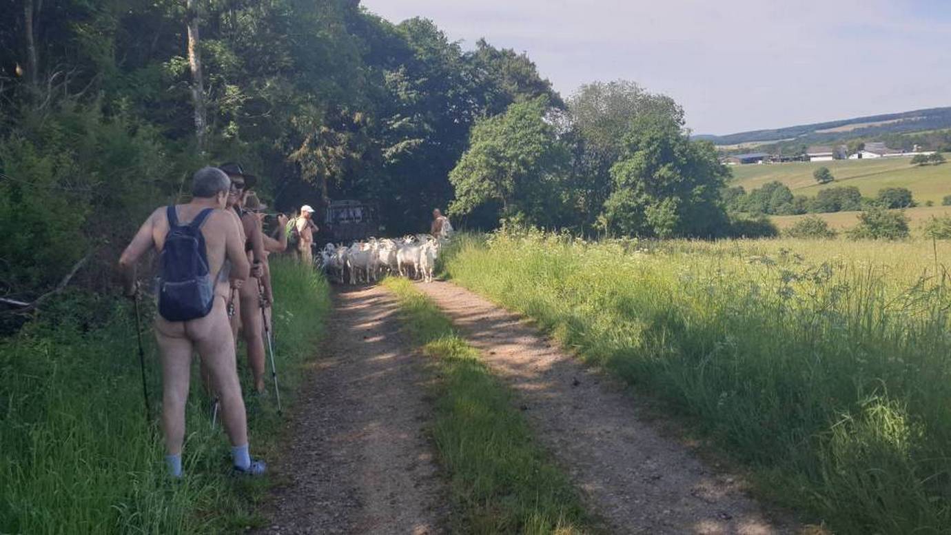 15/18 Les chèvres arrivent