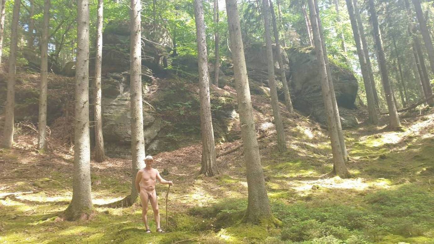17/18 Colline de grès dans la forêt