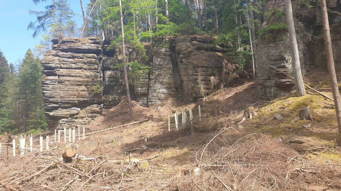 18/18 La stratification des sédiments est bien visible