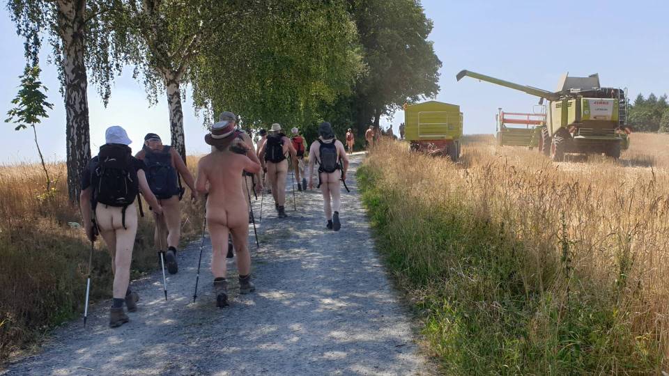 4/11 Récolte de colza