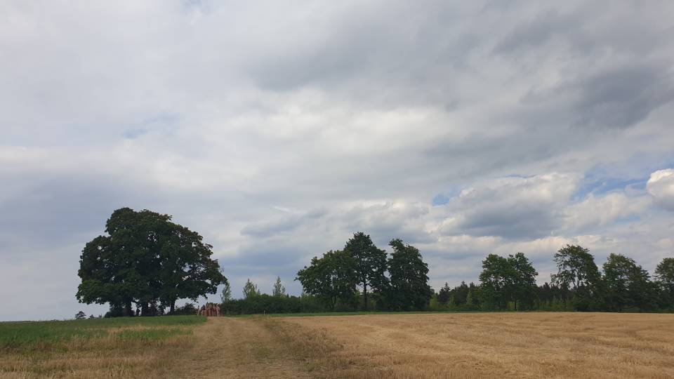 18/31 Des randonneurs au long cours tout petits à l'horizon