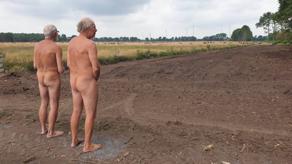 28/36 Le regard sur le troupeau