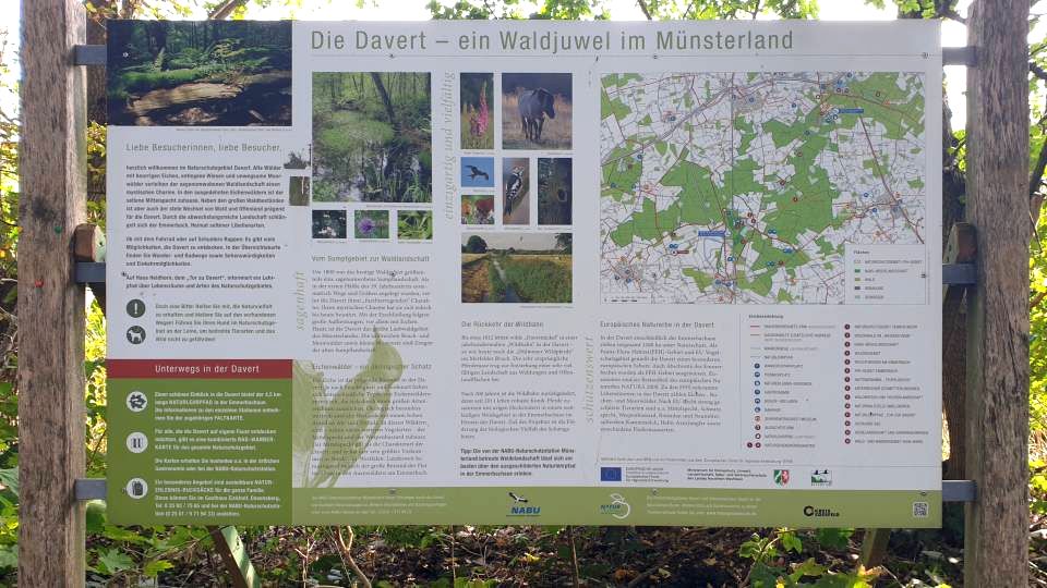 1/51 Davert est un joyau forestier