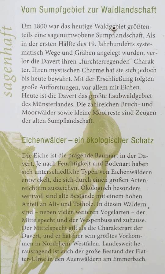 6/51 Le temps transforme le marais en forêt