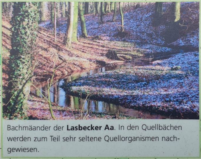 21/51 La Lasbecker Aa