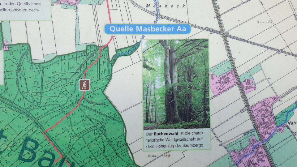 22/51 La Masbecker Aa