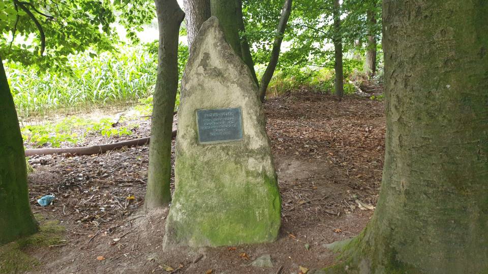 41/51 La place de Vader