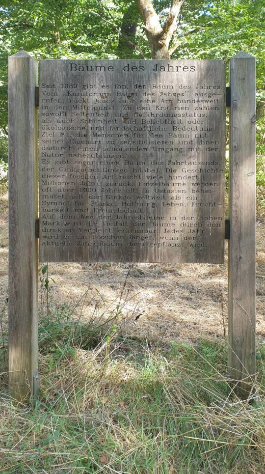 46/51 L'Allée des arbres de l'année mène au Galgenberg, où se trouve la tour de surveillance des pompiers