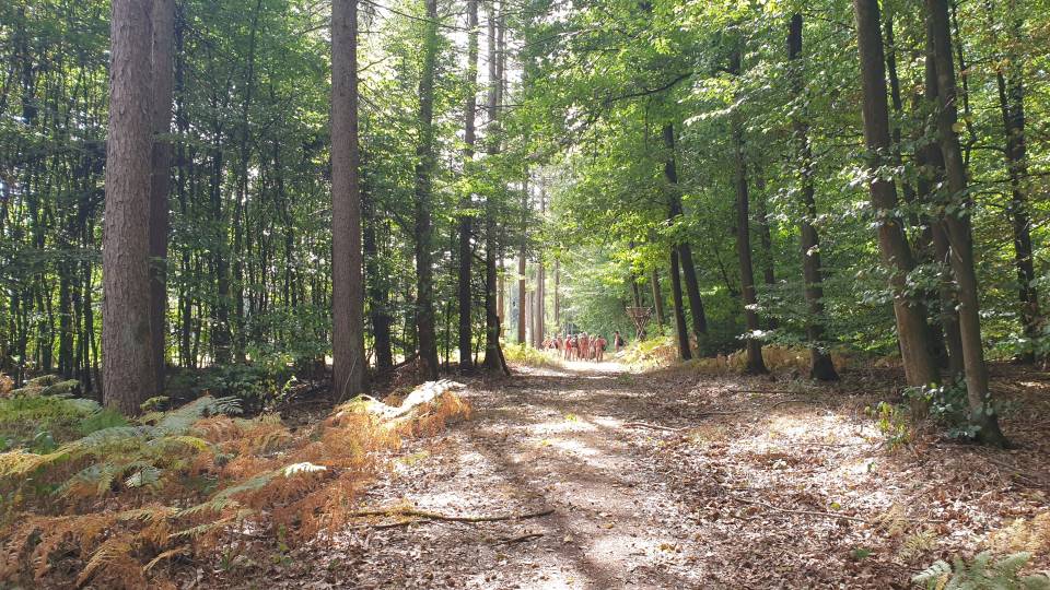 50/51 Avant de tourner, on attend