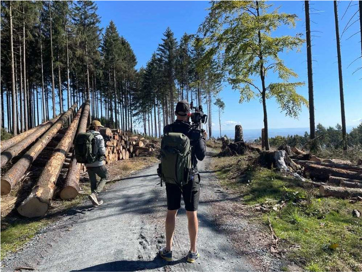 3/5 Les monocultures forestières de la « forêt allemande » ne peuvent pas résister aux tempêtes, aux sécheresses et aux parasites comme le bostryche.