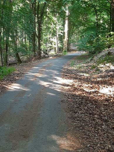3(7) Bon état des chemins