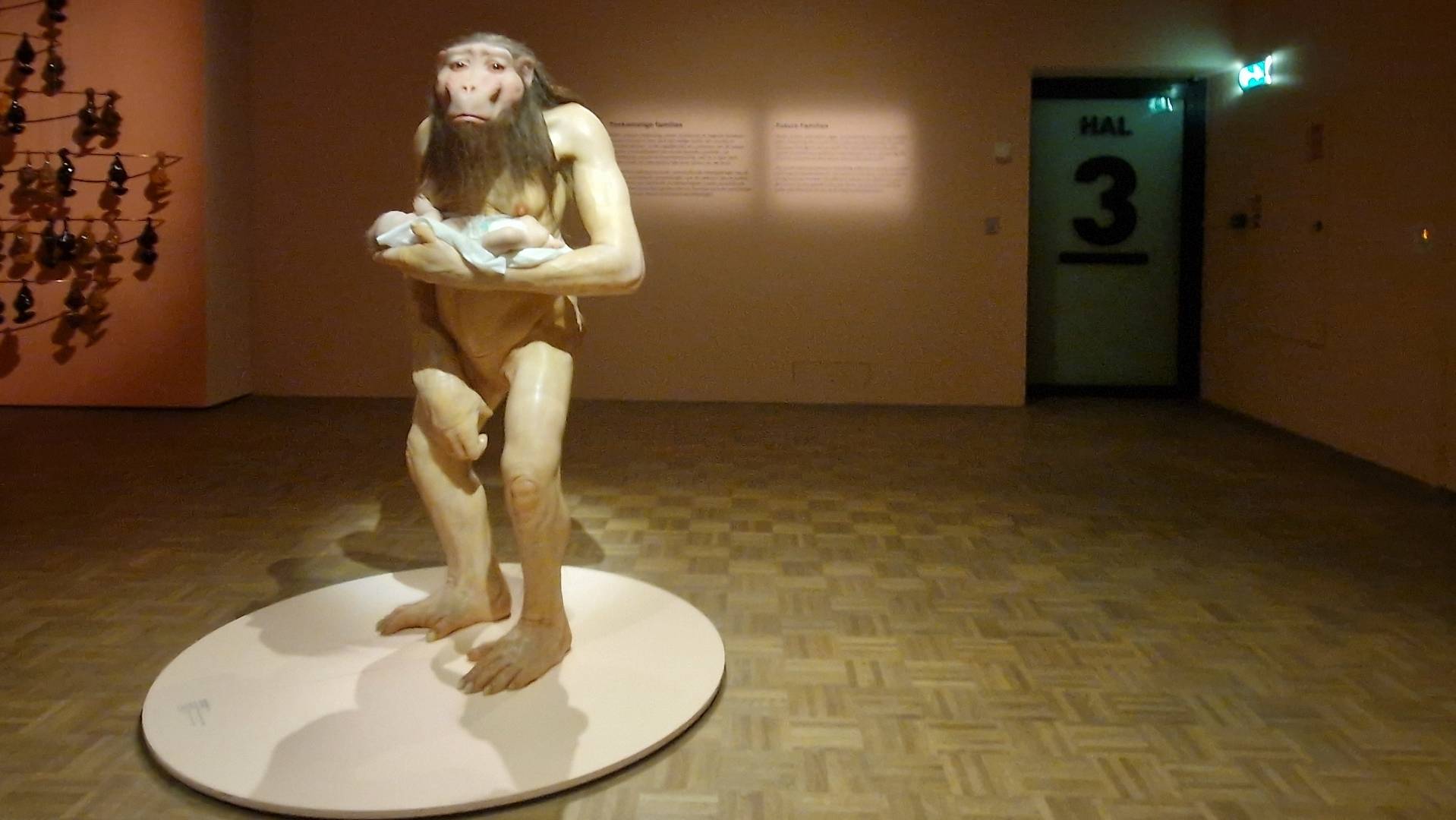 16(23) Un bébé humain en couches est dans les bras d'une guenon