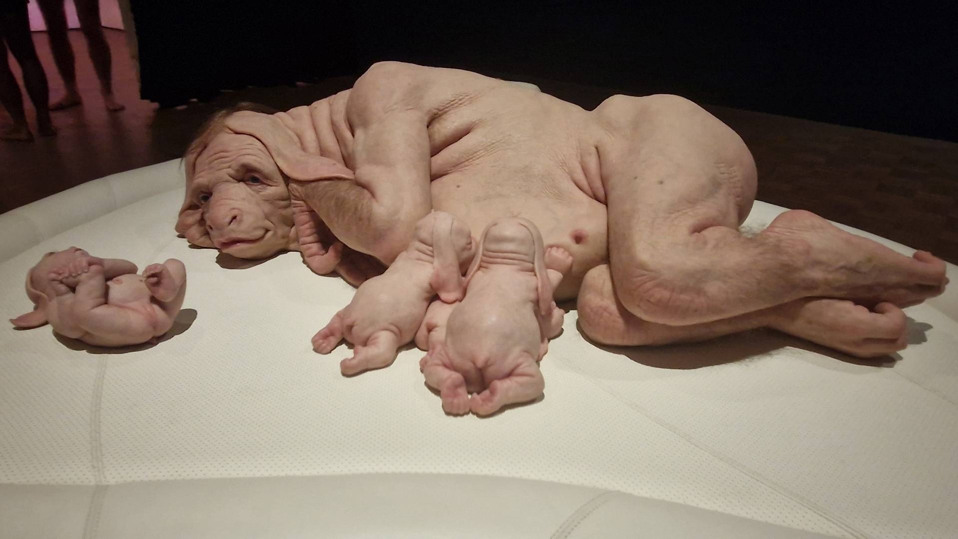 20(23) Les traits porcins et humains s'harmonisent