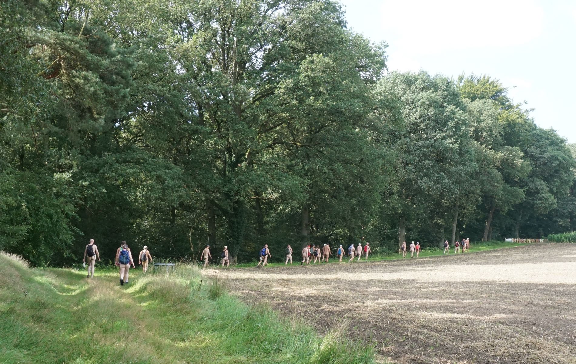Des naturistes se promènent entre la lisière de la forêt et les champs moissonnés (Di 6/8)