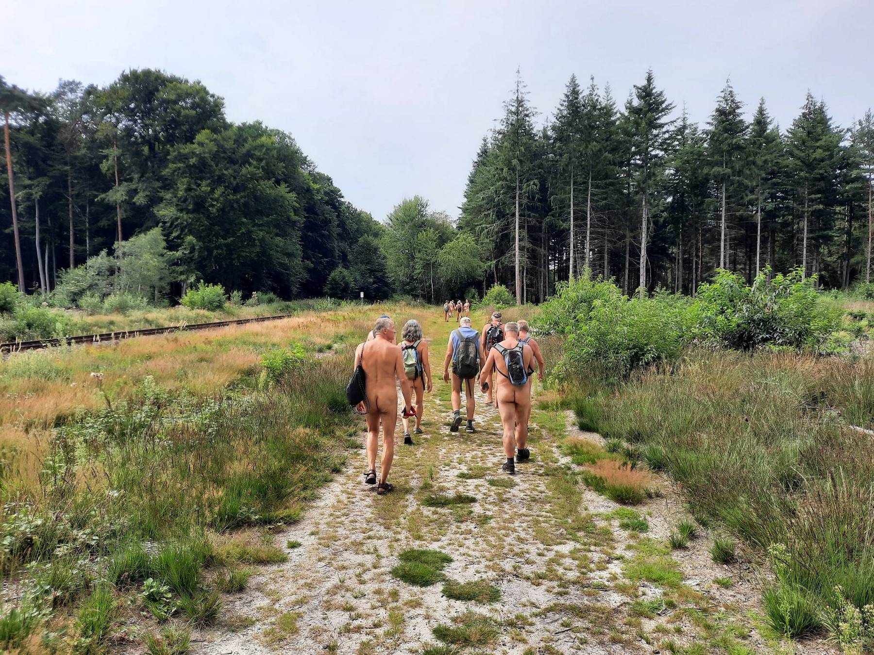 Le sentier de randonnée parallèle à la voie ferrée (Jeu 1|8)