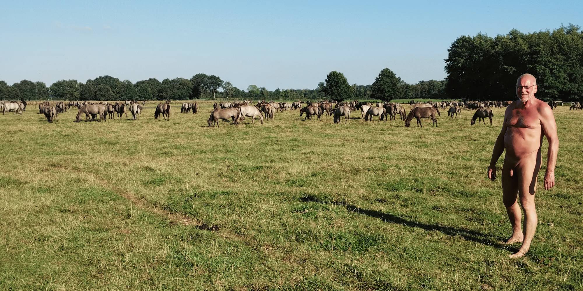 Après la randonnée à vélo, nous sommes allés voir les chevaux sauvages de Merfelder Bruch. (11|16)