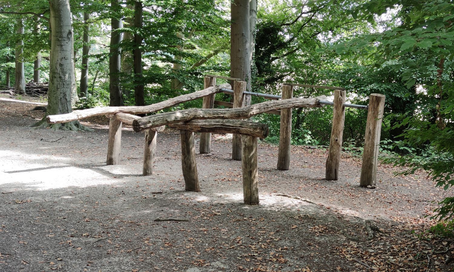 4[15] Au lieu de soulever des haltères : soulever des troncs d'arbre