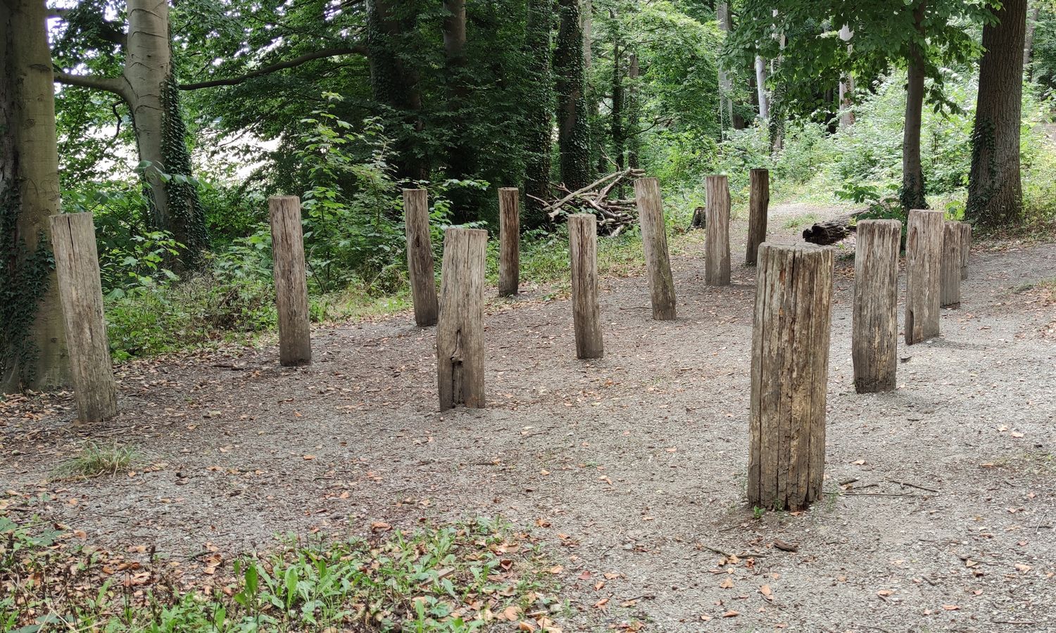 3[15] Poteaux dans le sol - ils sont trop proches les uns des autres pour des sauts de bosses - peut-être un parcours de slalom ?