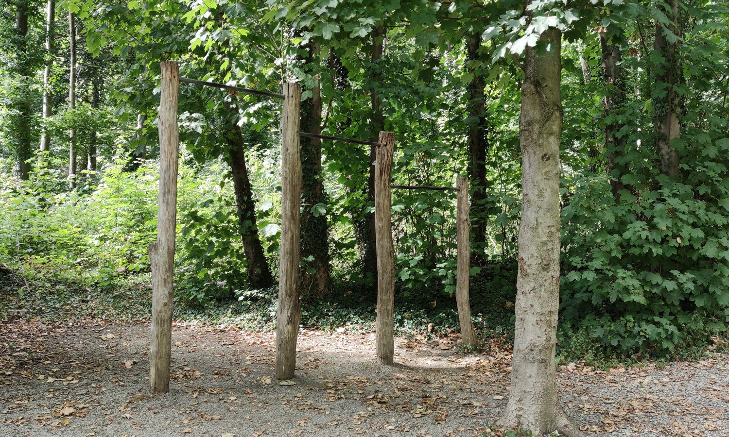 8[15] Barres horizontales en 3 hauteurs - je n'ose m'en approcher que si personne ne regarde