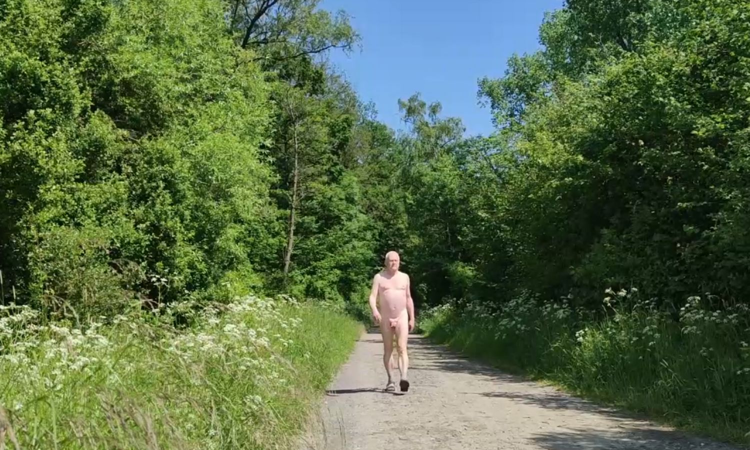 Sous le soleil de Pentecôte, sur le chemin forestier