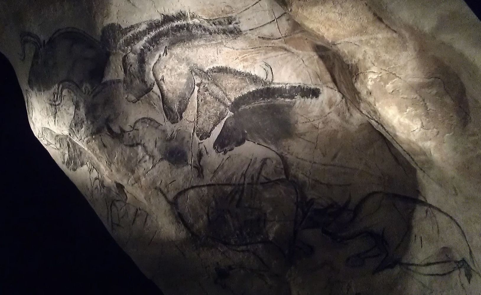 Le célèbre dessin représentant les 4 têtes de chevaux de la grotte Chauvet (France) a été réalisé vers 13.000 av. {!mobile}Ici aussi, on voit que plusieurs images se sont superposées - la paroi rocheuse n'est pas un bloc à dessin dont on peut simplement détacher la page supérieure une fois la peinture terminée. {/mobile}Foto: Nachosan, Creative Commons via wikimedia.