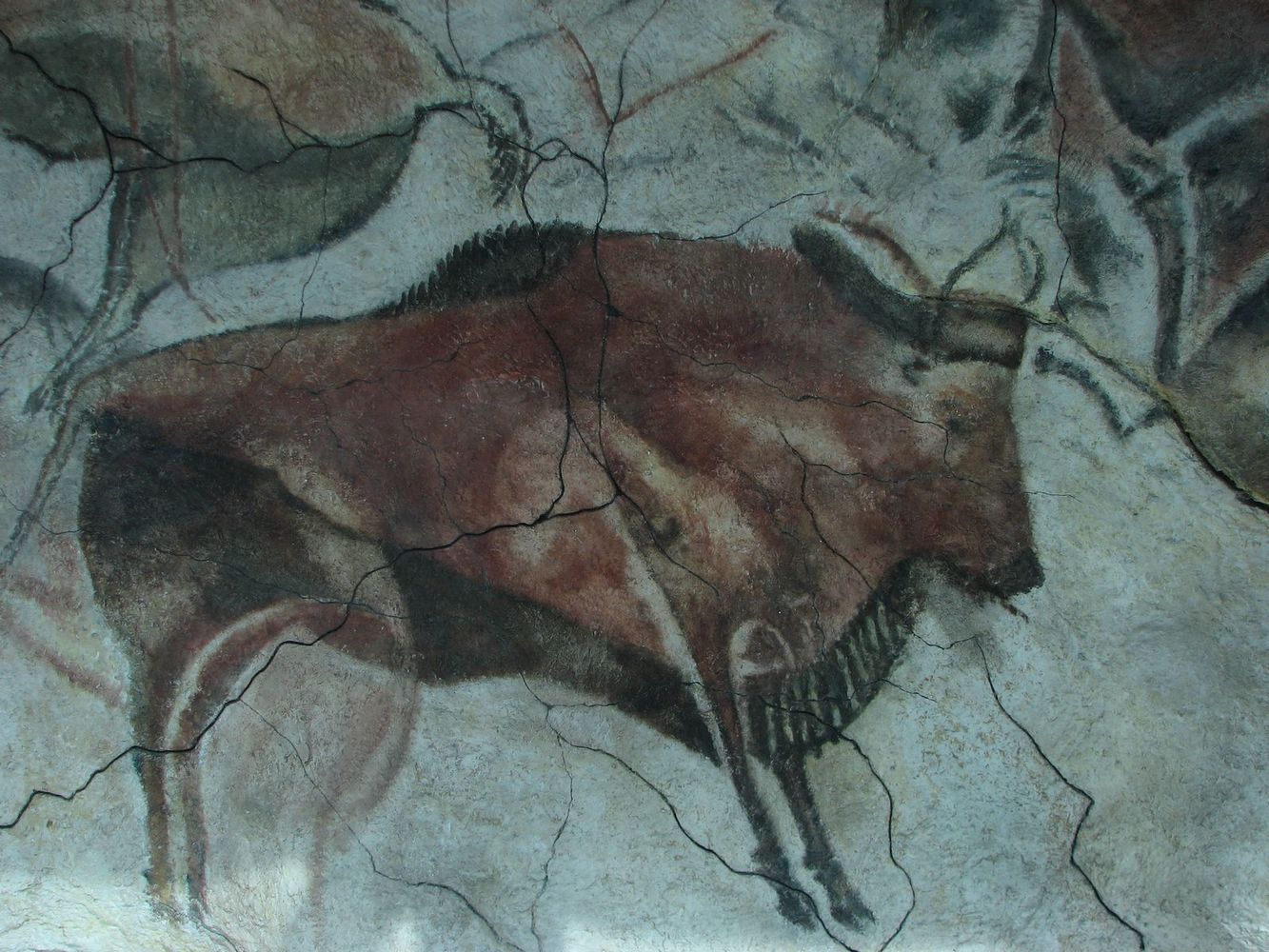 Le dessin du bison dans la grotte d'Altamira (nord de l'Espagne) a été réalisé vers 15.000 av. {!mobile}Les parois des grottes y ont été peintes de manière très dense et parfois en se chevauchant avec de nouveaux motifs. Il ne fait aucun doute que ces peintures étaient destinées à des fins cultuelles. La photo reproduit le dessin original, car seules de petites traces de peinture ont pu être analysées sur la paroi rocheuse. {/mobile}Public Domain.