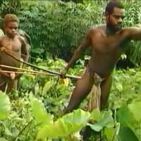 Jeunes hommes dans la forêt. L'arme de chasse est l'arc et les flèches. Jeunes hommes dans la forêt. L'arme de chasse est l'arc et les flèches.