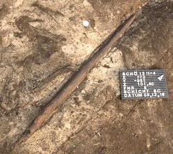 Wurfstock Schoeningen homo heidelbergensis